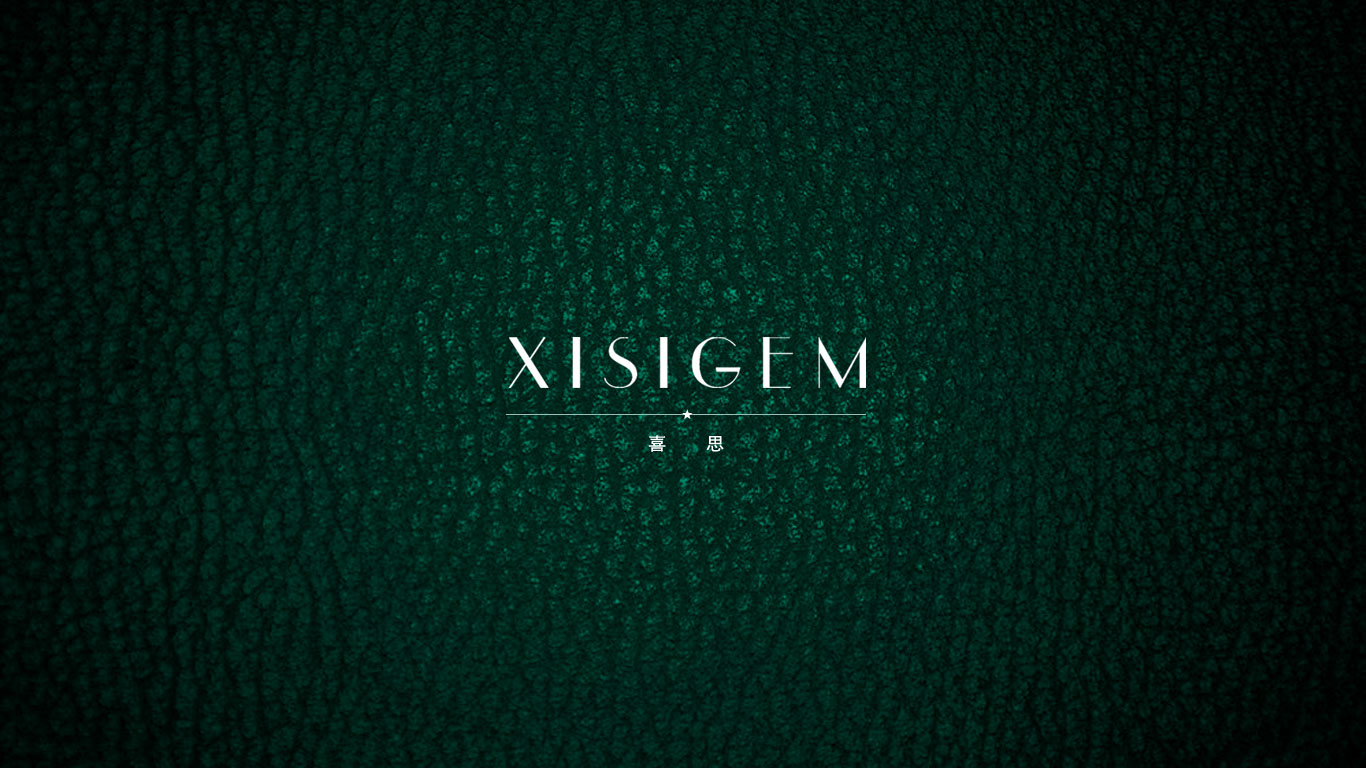 喜思原網(wǎng)站首頁(yè)設(shè)計(jì)——重慶網(wǎng)站建設(shè)公司（天蠶公司）